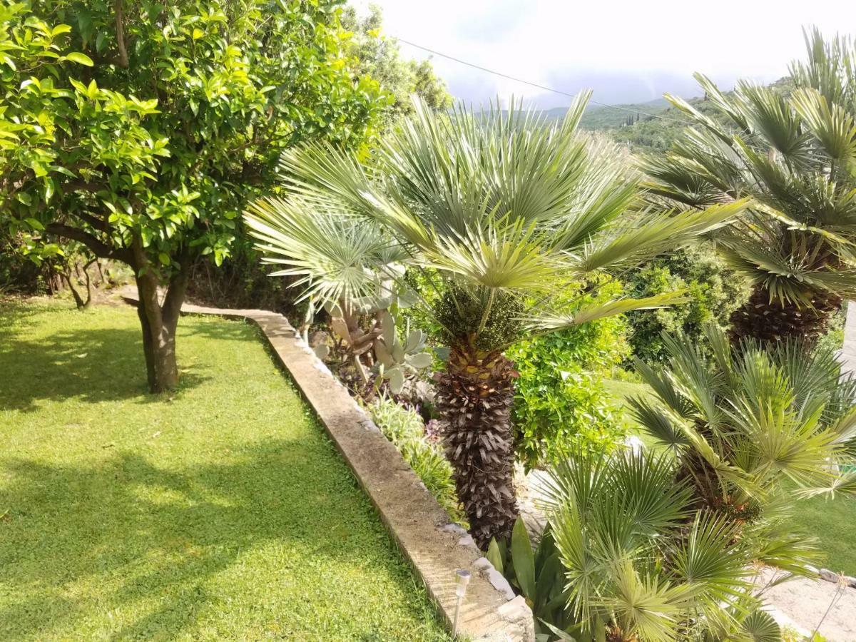 Marivo Guest House โมลูนัท ภายนอก รูปภาพ